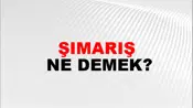 Şımarış