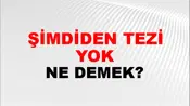 Şimdiden Tezi Yok