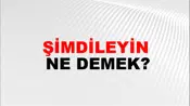 Şimdileyin