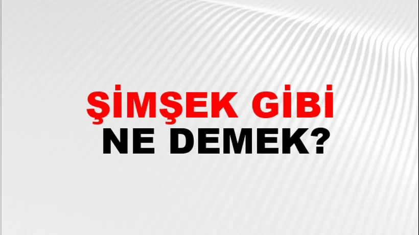 Şimşek Gibi Şimşek Gibi