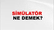 Simülatör