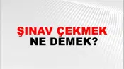Şınav Çekmek