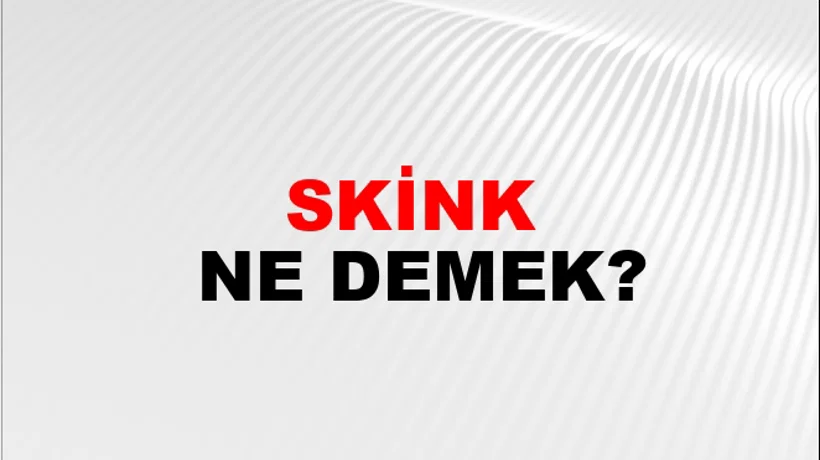Skink Skink