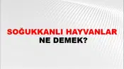 Soğukkanlı Hayvanlar