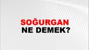 Soğurgan