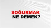 Soğurmak
