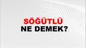 Söğütlü