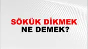 Sökük Dikmek