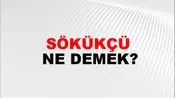 Sökükçü