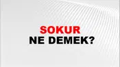 Sokur