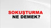 Sokuşturma