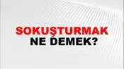 Sokuşturmak