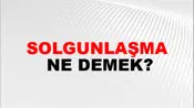 Solgunlaşma