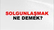 Solgunlaşmak