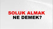 Soluk Almak