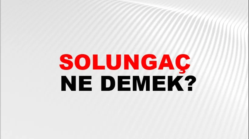 Solungaç Solungaç