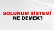 Solunum Sistemi