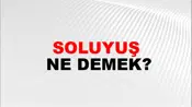 Soluyuş