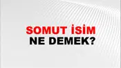Somut İsim