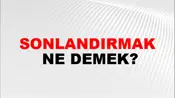 Sonlandırmak