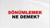 Sönümlemek