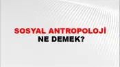 Sosyal Antropoloji