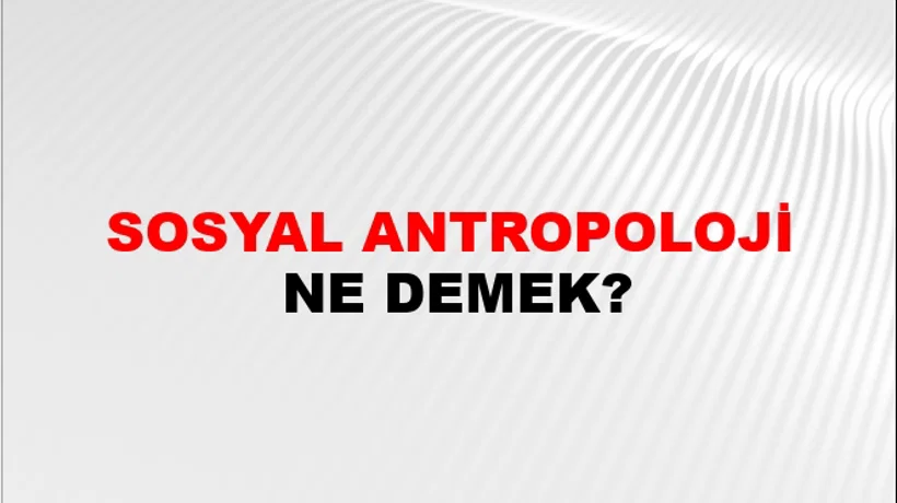 Sosyal Antropoloji Sosyal Antropoloji
