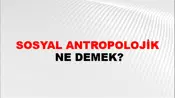 Sosyal Antropolojik