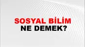 Sosyal Bilim