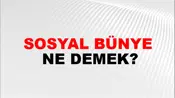 Sosyal Bünye