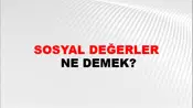 Sosyal Değerler