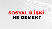 Sosyal İlişki