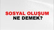 Sosyal Oluşum