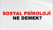Sosyal Psikoloji