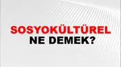 Sosyokültürel