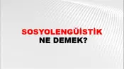 Sosyolengüistik