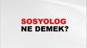 Sosyolog