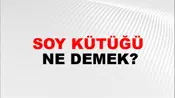 Soy Kütüğü