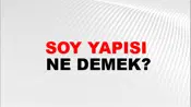 Soy Yapısı