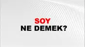 Soy