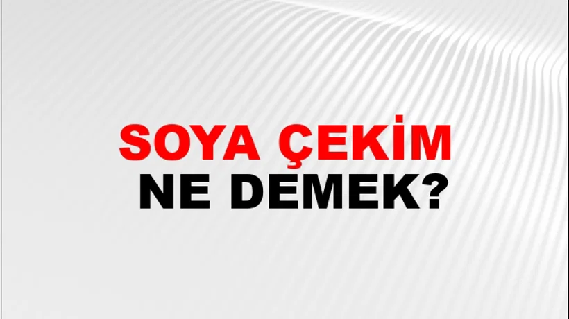 Soya Çekim Soya Çekim