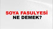 Soya Fasulyesi