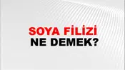 Soya Filizi