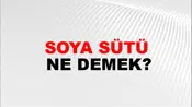 Soya Sütü