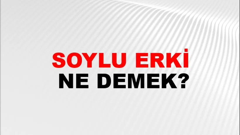 Soylu Erki Soylu Erki