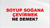 Soyup Soğana Çevirmek