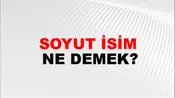 Soyut İsim