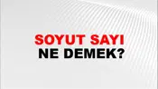 Soyut Sayı