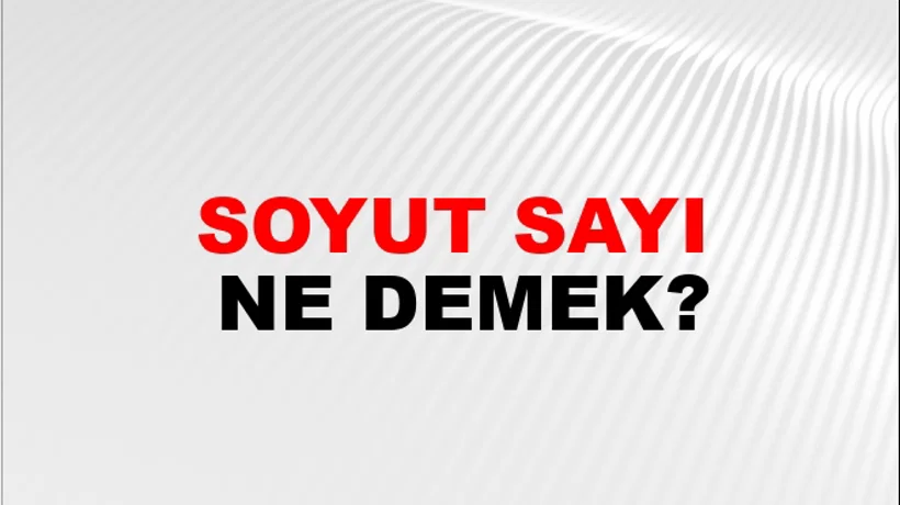 Soyut Sayı Soyut Sayı