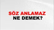 Söz Anlamaz